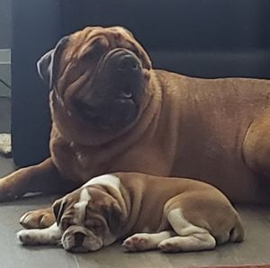 Meet your Posher, Michele